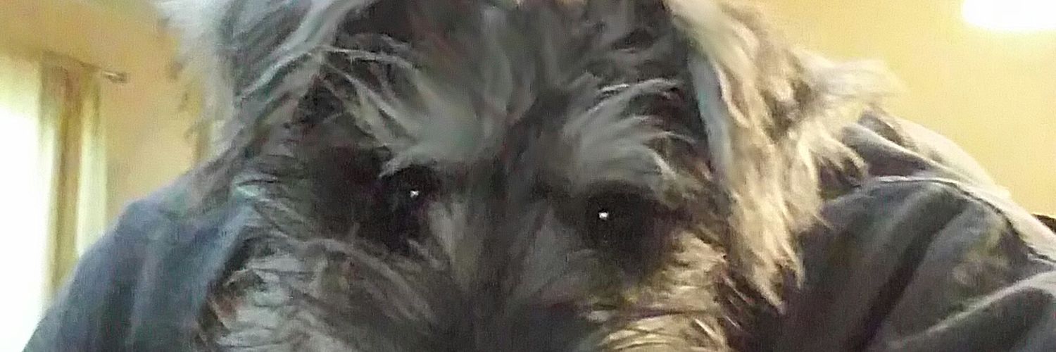 joemag17's profile banner image