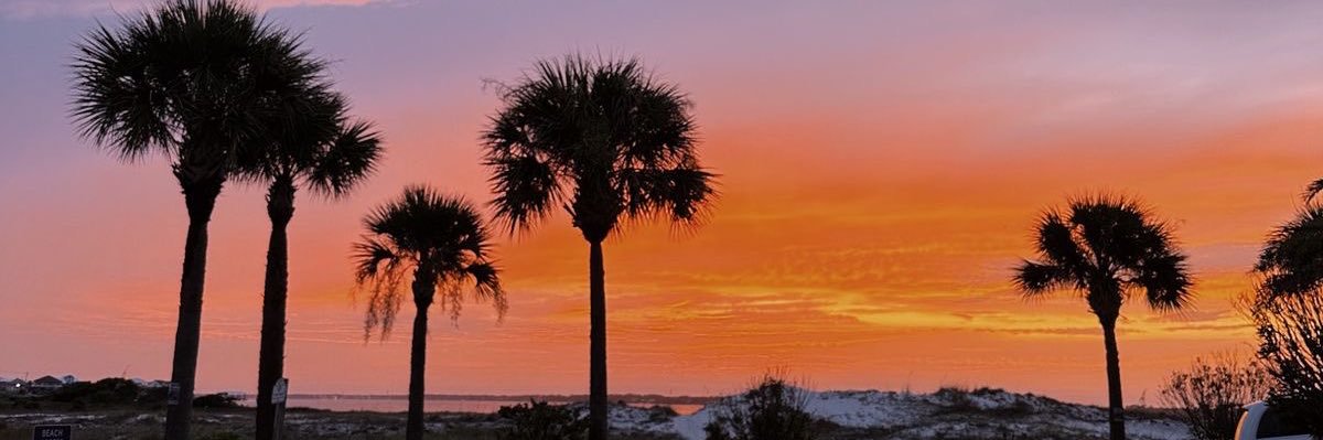 LoganYbarra00's profile banner image