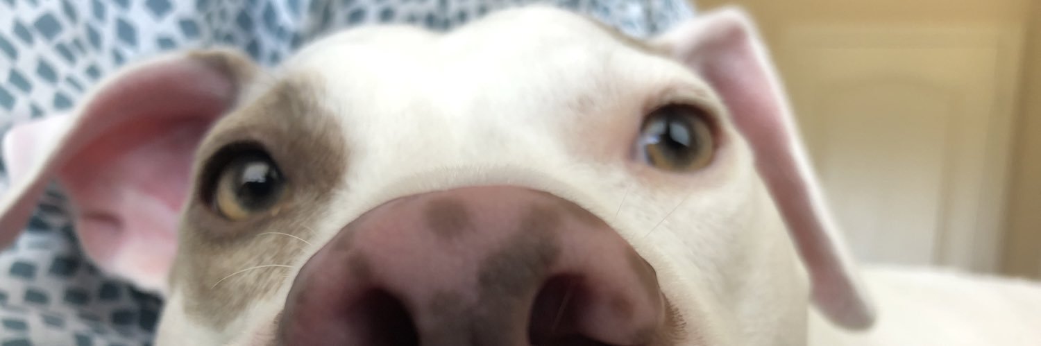 _little_to_'s profile banner image