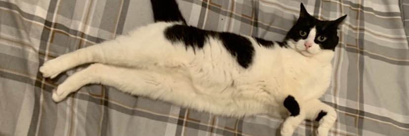 amyrennie0's profile banner image