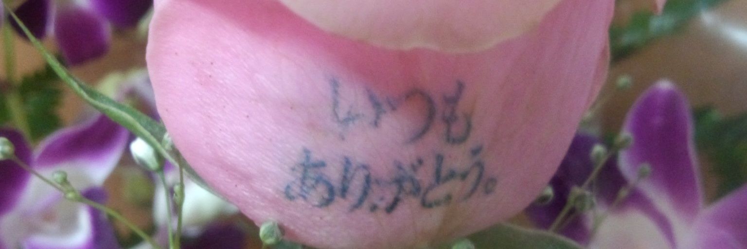 Shandi815's profile banner image