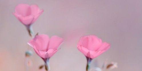 mrsescottduval's profile banner image