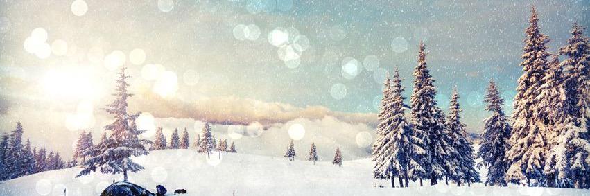 DestinyPelt's profile banner image