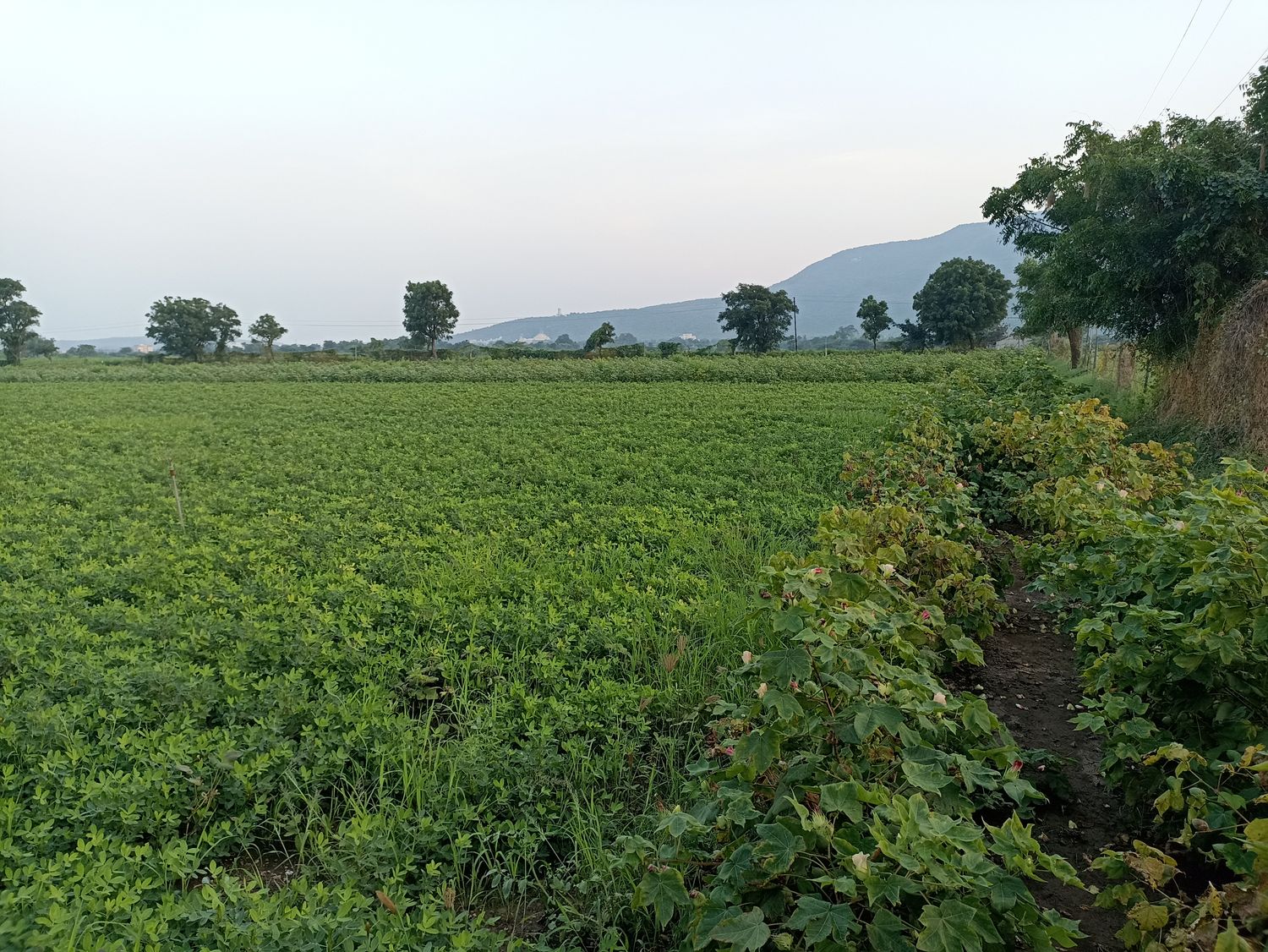 ITJanak's profile banner image
