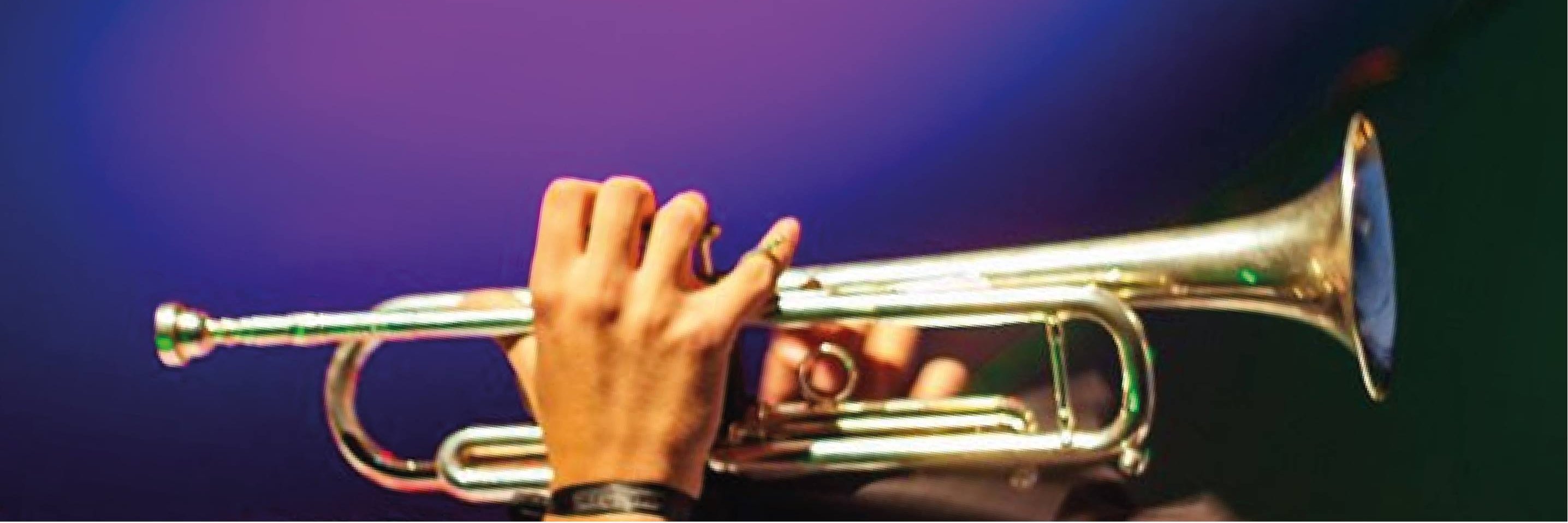 MusicalCaminos's profile banner image