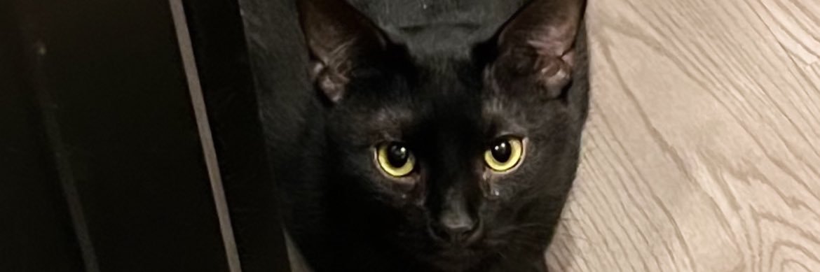 BrazyBalo's profile banner image