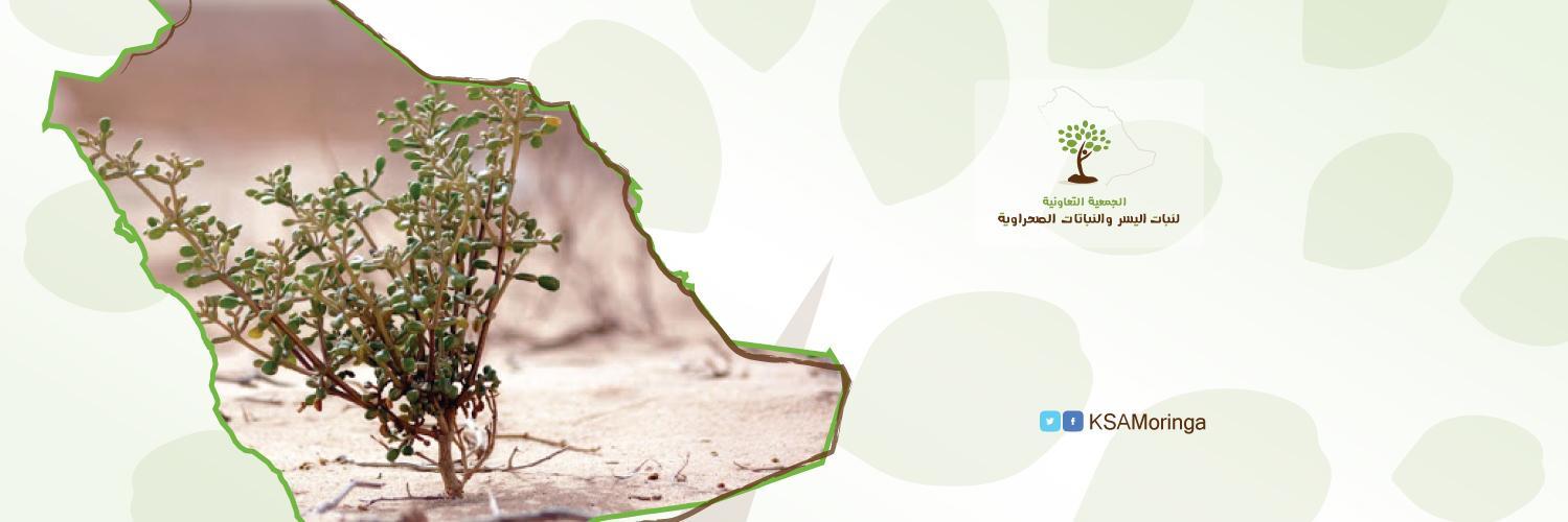 ksamoringa's profile banner image