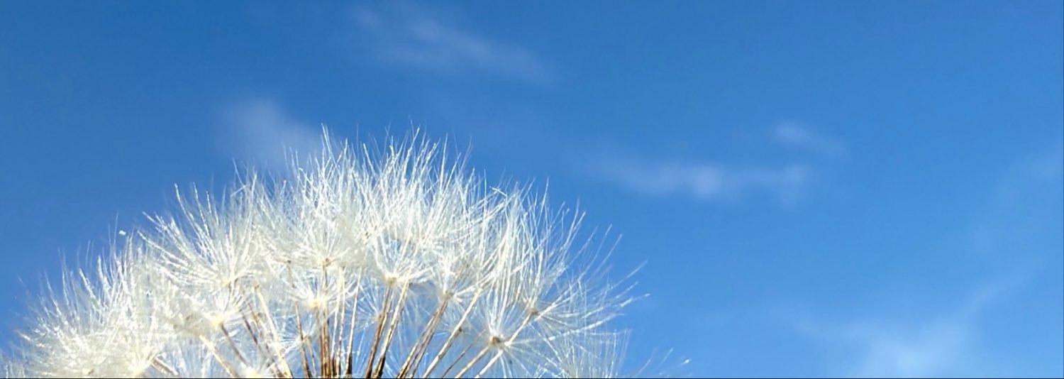 misheelty's profile banner image