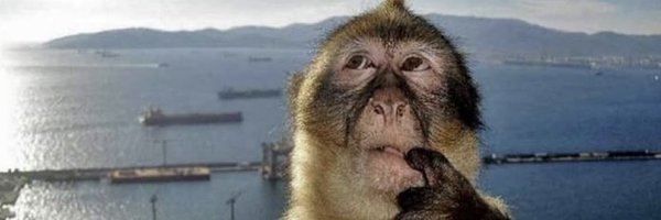 juss_a_pimp Profile Banner