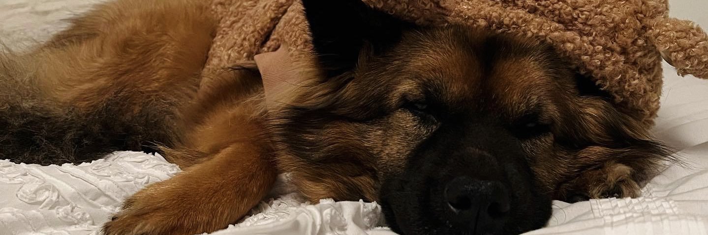 threesha33's profile banner image