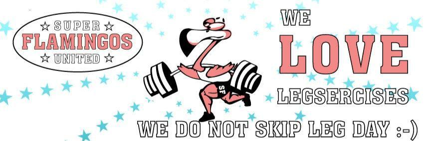 SUPERFLAMINGOS's profile banner image