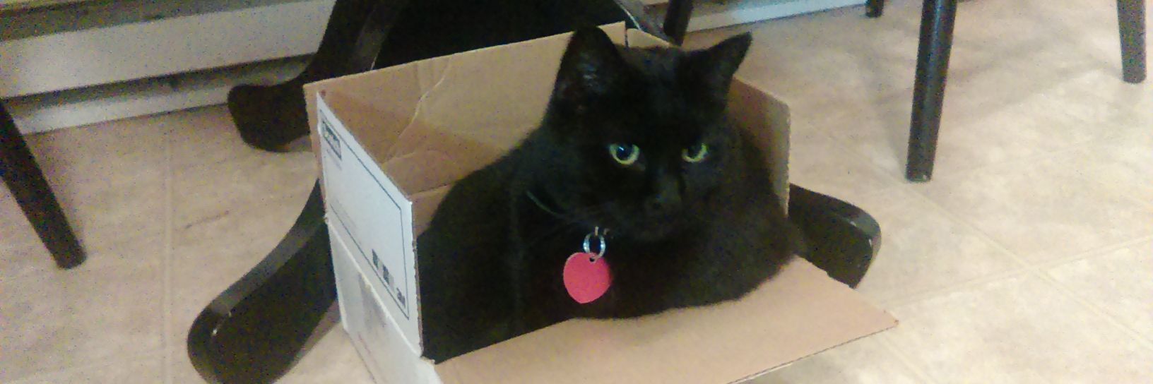 Cutest_Mothboy's profile banner image