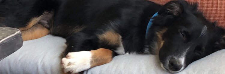 Ki♏️berly banner