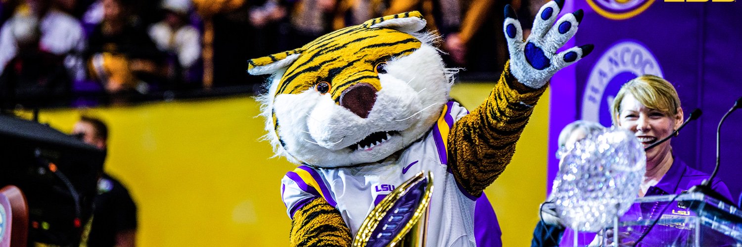 Dr. RuthAnn Lobos banner