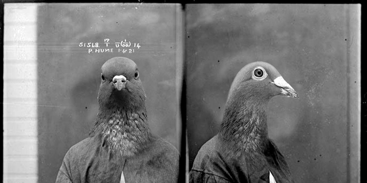 aviaryhotel's profile banner image