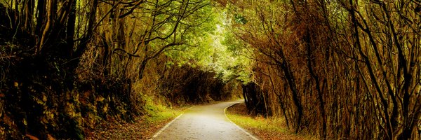 Varorevilla Profile Banner