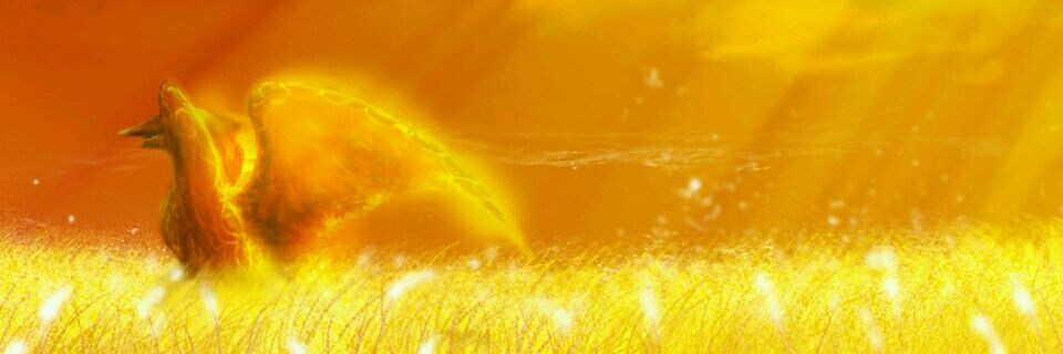 komando4080's profile banner image