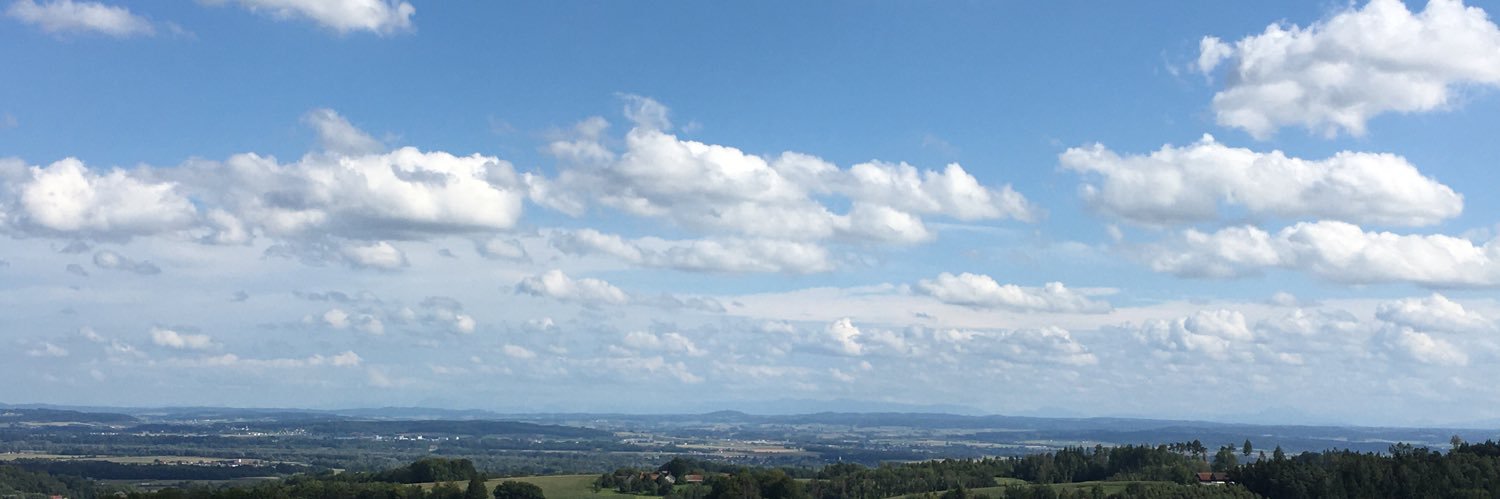 Dear Delight banner