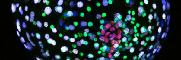 Prispi86 Profile Banner