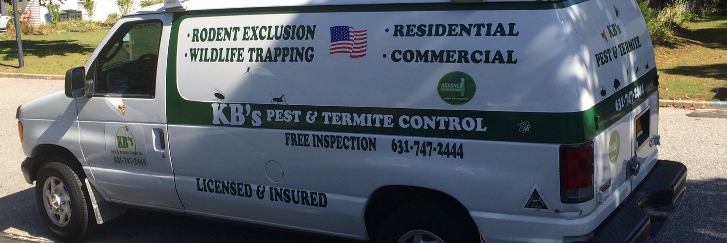 KbPest's profile banner image