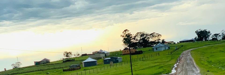 mbo_krolo's profile banner image