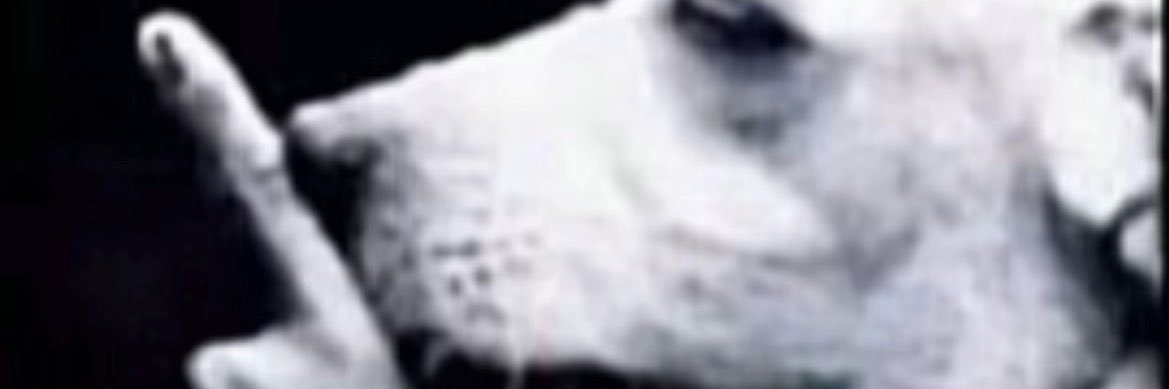 Fiji_7's profile banner image