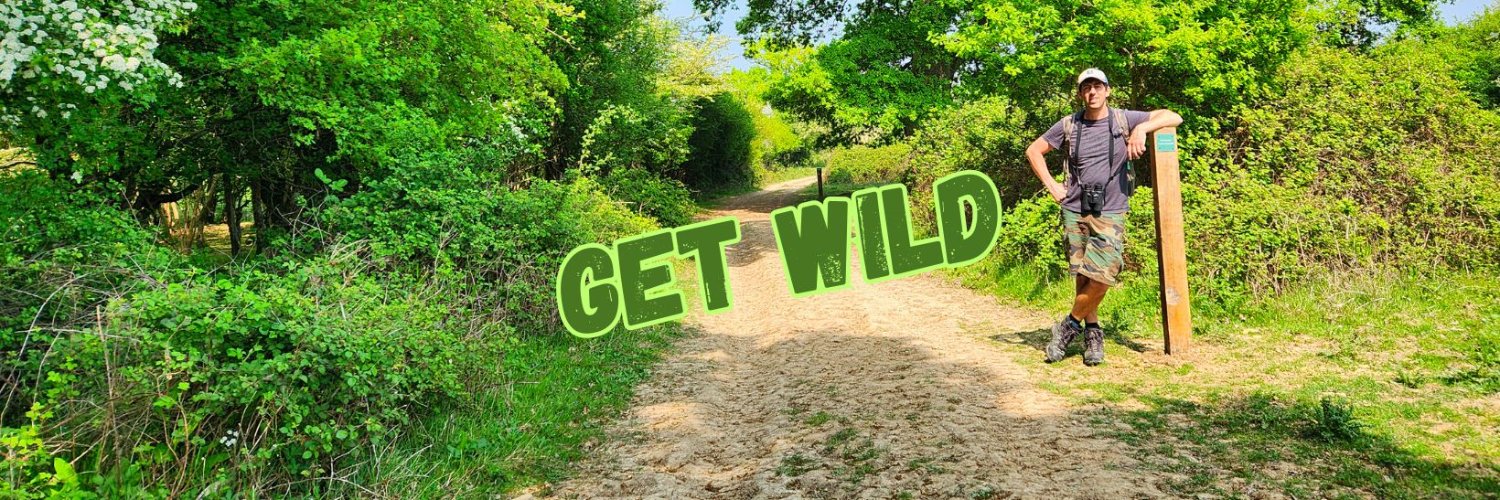 Get Wild 🐦 🦋 🐝 🍃 banner