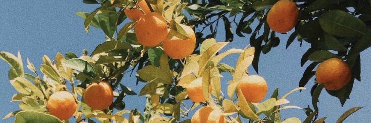 livdayyy's profile banner image