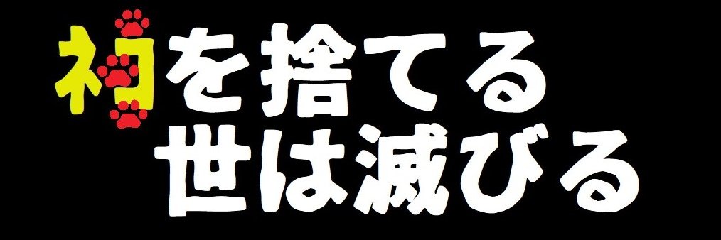 ソルト 📷(退院・リハビリ中） banner