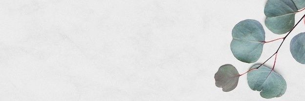 sandradogg's profile banner image