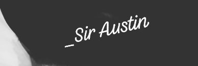 Austin banner