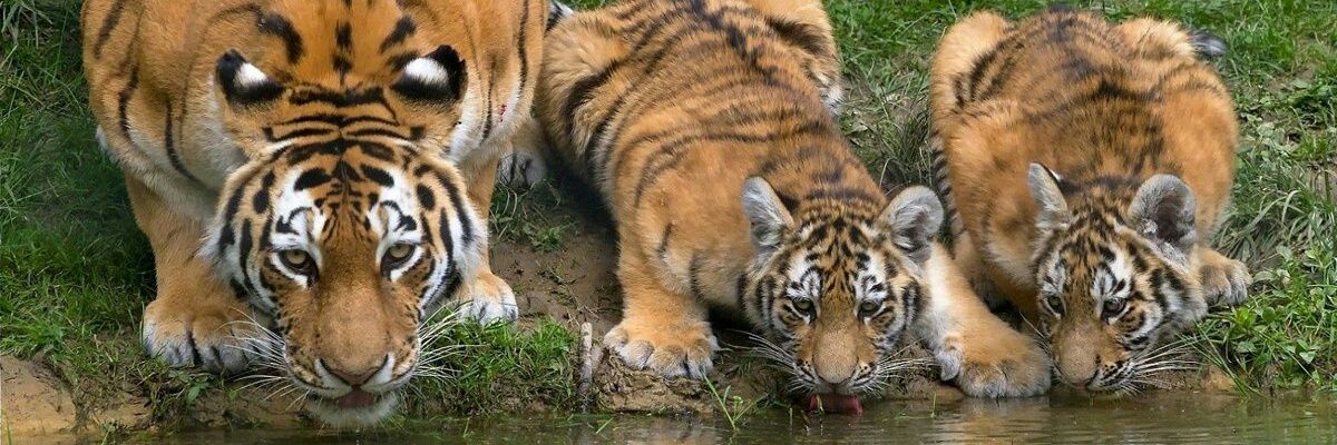 sweeteddy83's profile banner image