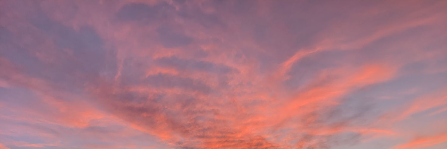 diegodavid294's profile banner image