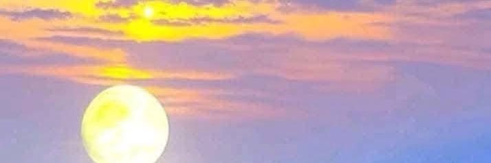 زهررة الربيع banner