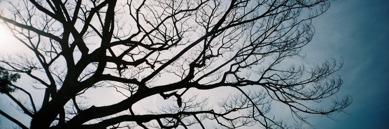 Gorawig_'s profile banner image