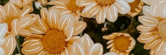 vanemarinll's profile banner image
