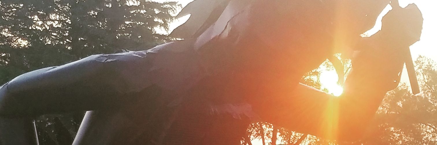 lfelts24's profile banner image