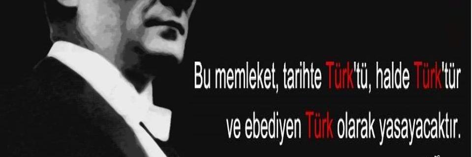 haltisah's profile banner image