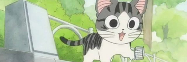 Us Cats's banner