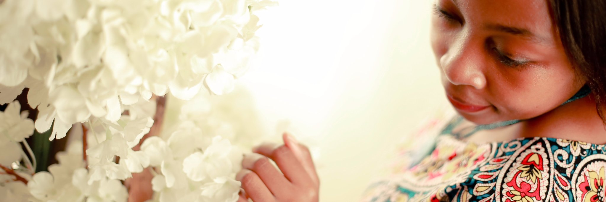 PetitPowerhouse's profile banner image