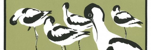 Matt Plenty banner