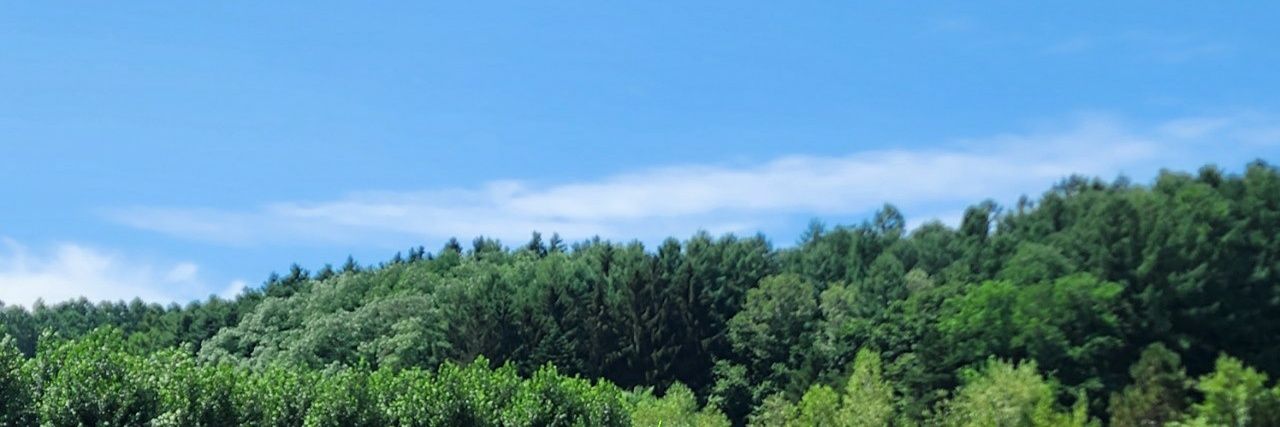 hausisak's profile banner image