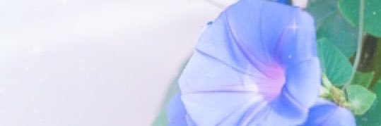 enst__12's profile banner image