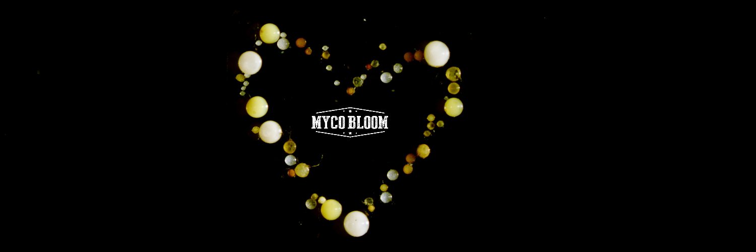 MycoBloom banner