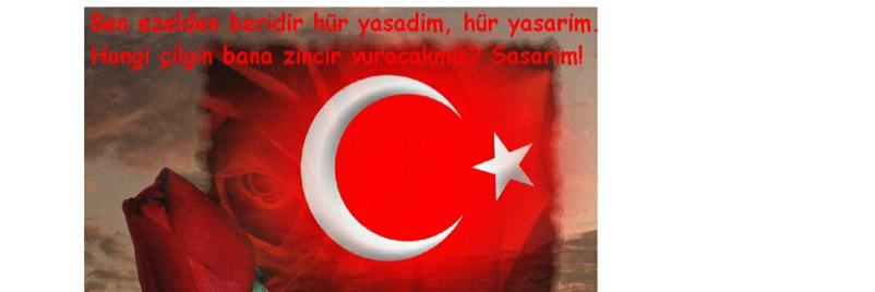hayran_gulee's profile banner image