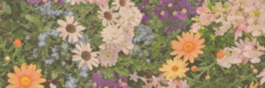 Busan1119's profile banner image