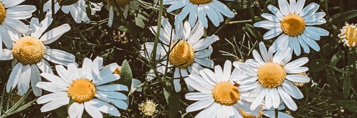 Katherynecohen's profile banner image