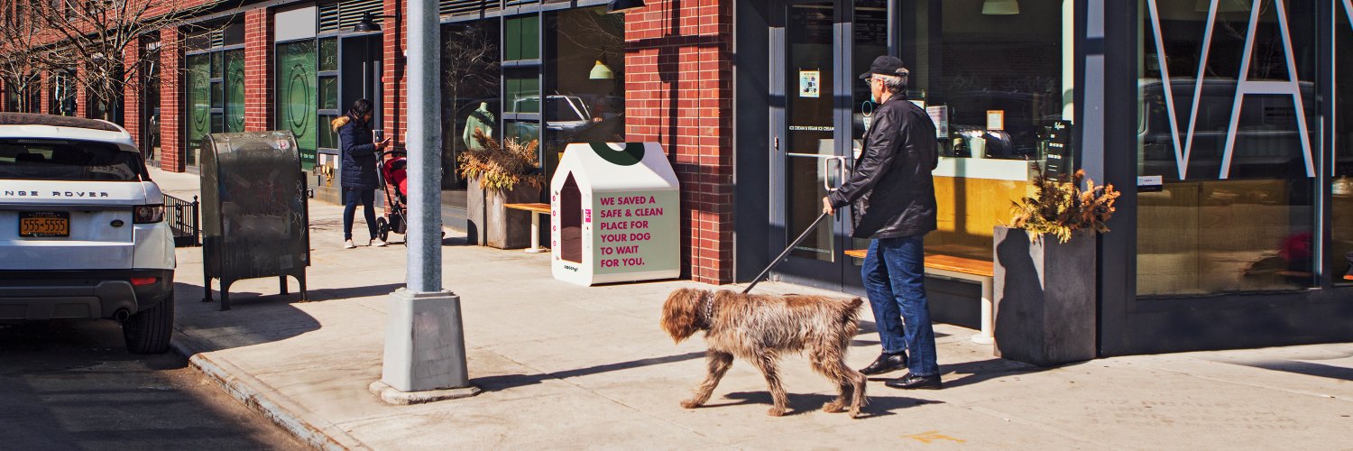 DogSpot banner