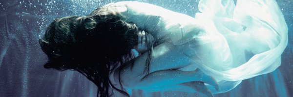 shonbaee Profile Banner