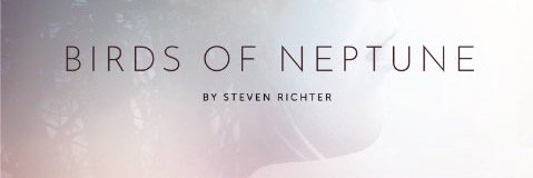 birdsofneptune4's profile banner image